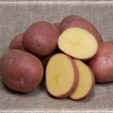 DAMASK potatoes