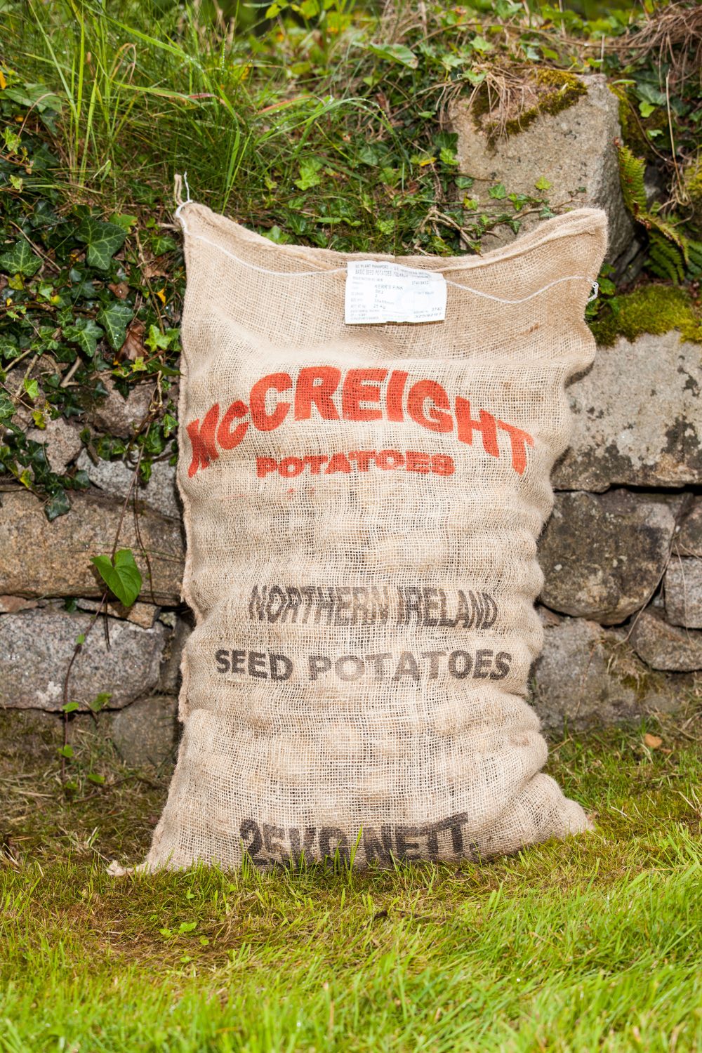 25 kg bag of seed potatoes