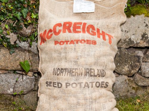 25 kg bag of seed potatoes