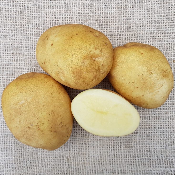 Rassen potatoes