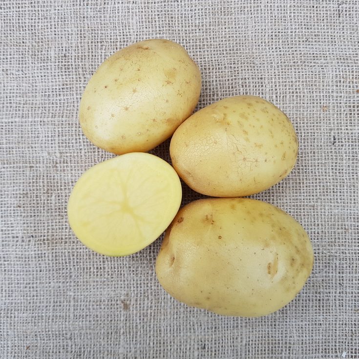 Rassen potatoes
