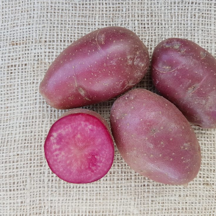 Rassen_Lily-Rose potatoes