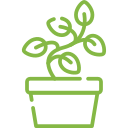 plant green icon