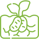 potato green icon