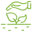 sprout sprout green icon